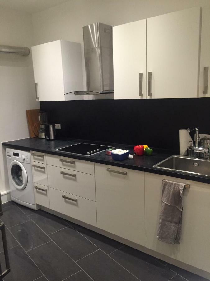Luxe Apartment Am Rhein Вормс Экстерьер фото